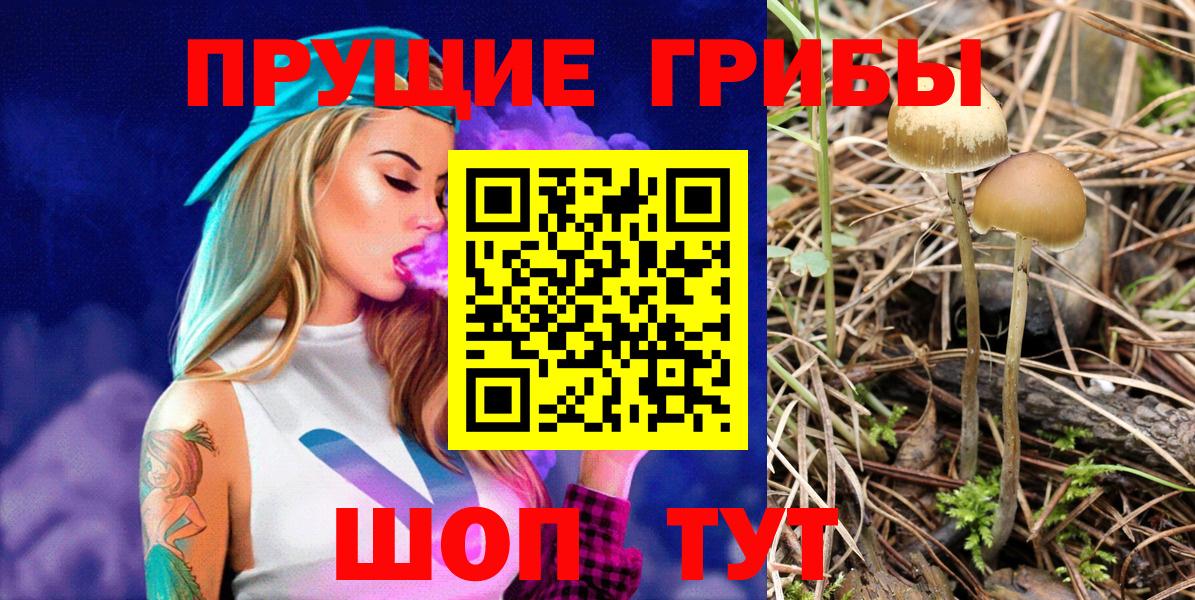 Абинск  Псилоцибиновые грибы MAGIC MUSHROOMS  Галлюциногенные грибы Psilocybe  Вход с VPN 